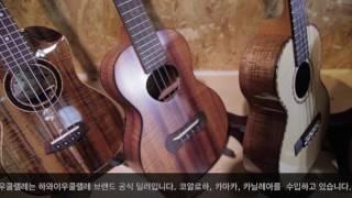 Hawaii Ukulele 3K Collection(코알로하,카마카,카닐레아,마틴)