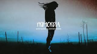 Apparat ft. Soap&Skin Type Beat \\ Sad & Deep Instrumental "Primordia" (Prod. by Aksil Beats)