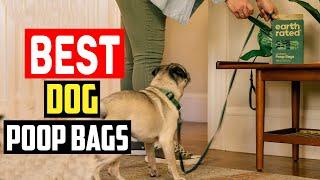 Top 5 Best Dog Poop Bags for Poops of All Shapes and Sizes in 2024