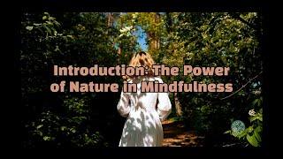  Mindfulness with Nature: A Simple Guide to Finding Peace in Just Minutes 