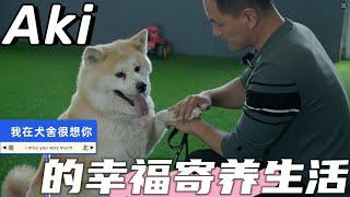 这才是忠犬八公的原型！