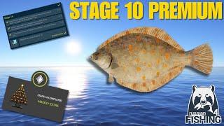 New Year Challenge Stage 10 - Premium - Russian Fishing 4