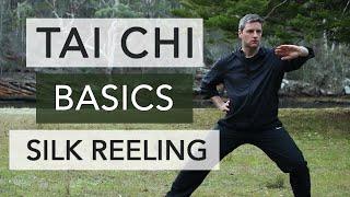 Tai Chi - Silk Reeling Fundamentals for Beginners