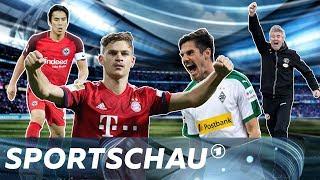 Kimmich, Alcacer und Co.: 5 Gewinnertypen der Bundesliga-Hinrunde | Sportschau