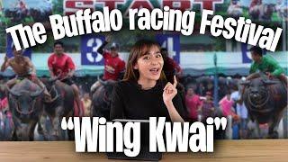 Buffalo racing festival in Thailand | 2 Minutes Thailand