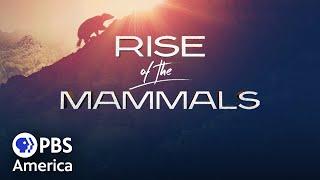 Rise of the Mammals FULL SPECIAL | PBS America