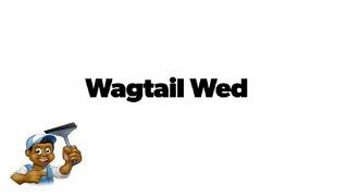M.A.W.  (Window Cleaning) Wagtail Wed Tips & Tricks