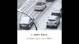 [폭설] "오늘 눈 많이온대요~"…눈썰매장 도로 운전 꿀팁