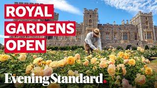 Windsor Castle’s East Terrace Garden opens to public for first time in decades