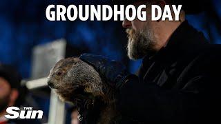 Groundhog Day: Punxsutawney Phil predicts an early spring