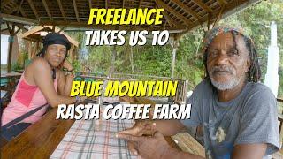  Chucky takes us to Blue Mountain Rasta Coffee Farm 