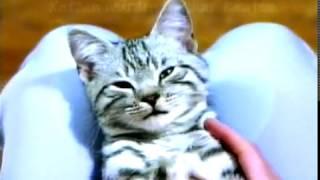 Whiskas Lieblingsmenü - Bringt ihren Tiger zum Schnurren (TV Werbung 1999)