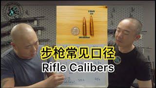 95. 枪店老板对话防卫教官系列6 家防步枪口径你选对了吗？ Talks Between Gun Shop Owner and Defensive Instructor Ep6