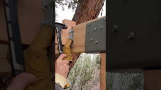 Building a TREEHOUSE! (In 30 Seconds) #treehouse #shorts