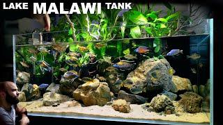 Lake Malawi Aquarium: EPIC Aquascape Tutorial w/ Cichlids & Catfish