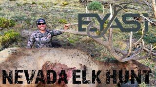 NEVADA ELK HUNT