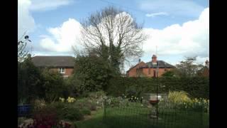 front garden time lapse april 2012.mpg