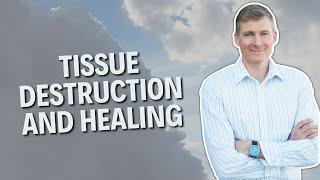 Whole Body Tissue Destruction And Healing Steps