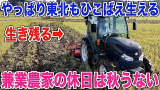 【農業日記】トラクターで秋うない 田んぼを耕す 30代米作り奮闘記#443