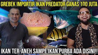 GREBEK IMPORTIR IKAN PREDATOR GANAS 100 JUTA!! IKAN TERANEH SAMPE IKAN PURBA ADA DISINI! AQUPREMIERE