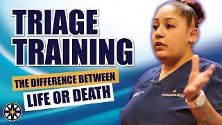 Triage Training for Veterinary Professionals: The Difference Between Life & Death