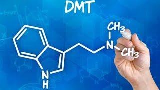 What is DMT? (2019) What Scientists Can Say