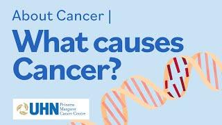 About Cancer | What Causes Cancer?