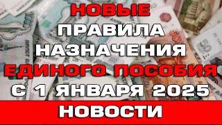 Новые правила назначения Единого пособия с 1 января 2025 Срочные новости