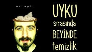 Uyku Sırasında Beyinde Temizlik