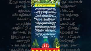 வீட்டில்  வளரும்   வேப்பமரத்தை வேரோடு வெட்டலாமா # NeemTree # SpiritualWarnings