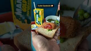 Delhi Jaipur Shatabdi Express Train Food 