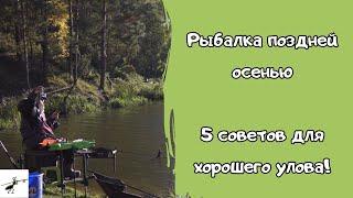 Ловля леща на фидер в октябре и ноябре. Рыбалка поздней осенью. 5 советов для хорошего улова!