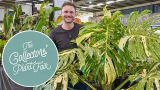 AUSTRALIA'S LARGEST PLANT FAIR - a full tour of the Collectors' Plant Fair 2024