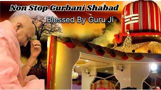 Non Stop Amritvela Blessed Gurbani Shabad - 2024 || Guruji Bhajan || @GuruJiMaharaj54