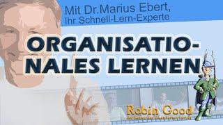 Organisationales Lernen