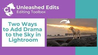 Two Ways to Add Drama to the Sky in Lightroom - Dog Photography Editing