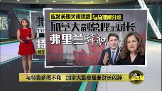 与特鲁多闹不和   加拿大副总理兼财长闪辞 | 八点最热报 17/12/2024