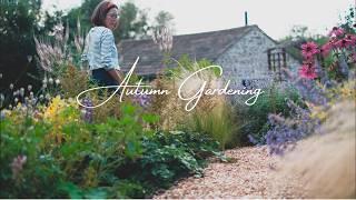 [slow living vlog] How I look after my Autumn Kitchen garden/Autumn cottage garden maintenance/