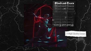 [FREE[ Dark Orchestral Loopkit - "Blood and Tears"