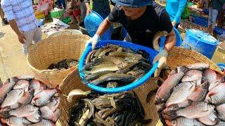 Amazing Wholesale Fish Market in Phnom Penh City|Mr.Sokol