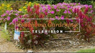 Oklahoma Gardening October 19, 2024