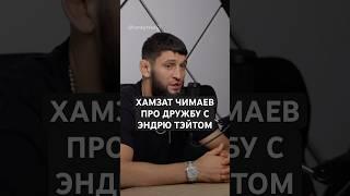 Хамзат Чимаев про знакомство с Эндрю Тэйтом!