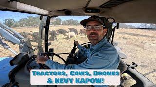 Kevy Kapow Feeds the COWS at Doggy Days Farm Stays | Tractors Drones Rocks New Plans