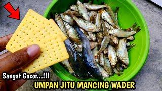 UMPAN MANCING IKAN WADER PALING JITU | BISKUIT CRISPY CRACKERS | EKSPERIMEN UMPAN WADER #7