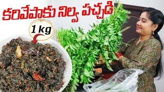 30 రూపాయల కరివేపాకుతో నేను చేసిన 1kg నిల్వ పచ్చడికి ఇంట్లో అందరూ ఫిదా!Karivepaku Pachadi Curryleaves