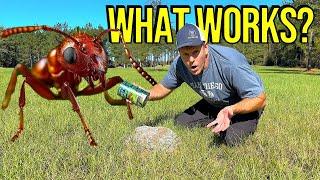 We FINALLY Found Something That KILLS Fire Ants!