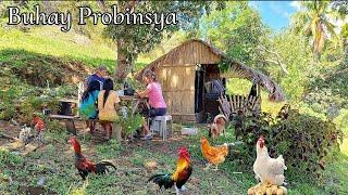 Buhay Probinsya | Buhay Bukid | Philippine Countryside Masaya dito sa Probinsya @AmigaCha