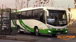 Marcopolo Ideale 800 / Mercedes Benz / Buin - Maipo