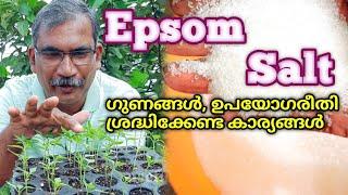 Epsom Salt ഉപയോഗിക്കുമ്പോൾ ശ്രദ്ധിക്കേണ്ട കാര്യങ്ങളും,  ഗുണങ്ങളും | How to use Epsom salt for Plants