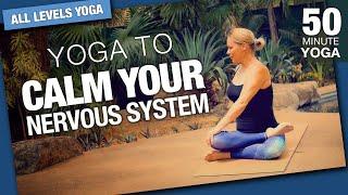 Yoga to Calm Your Nervous System - Five Parks Yoga - 45 Minute Class